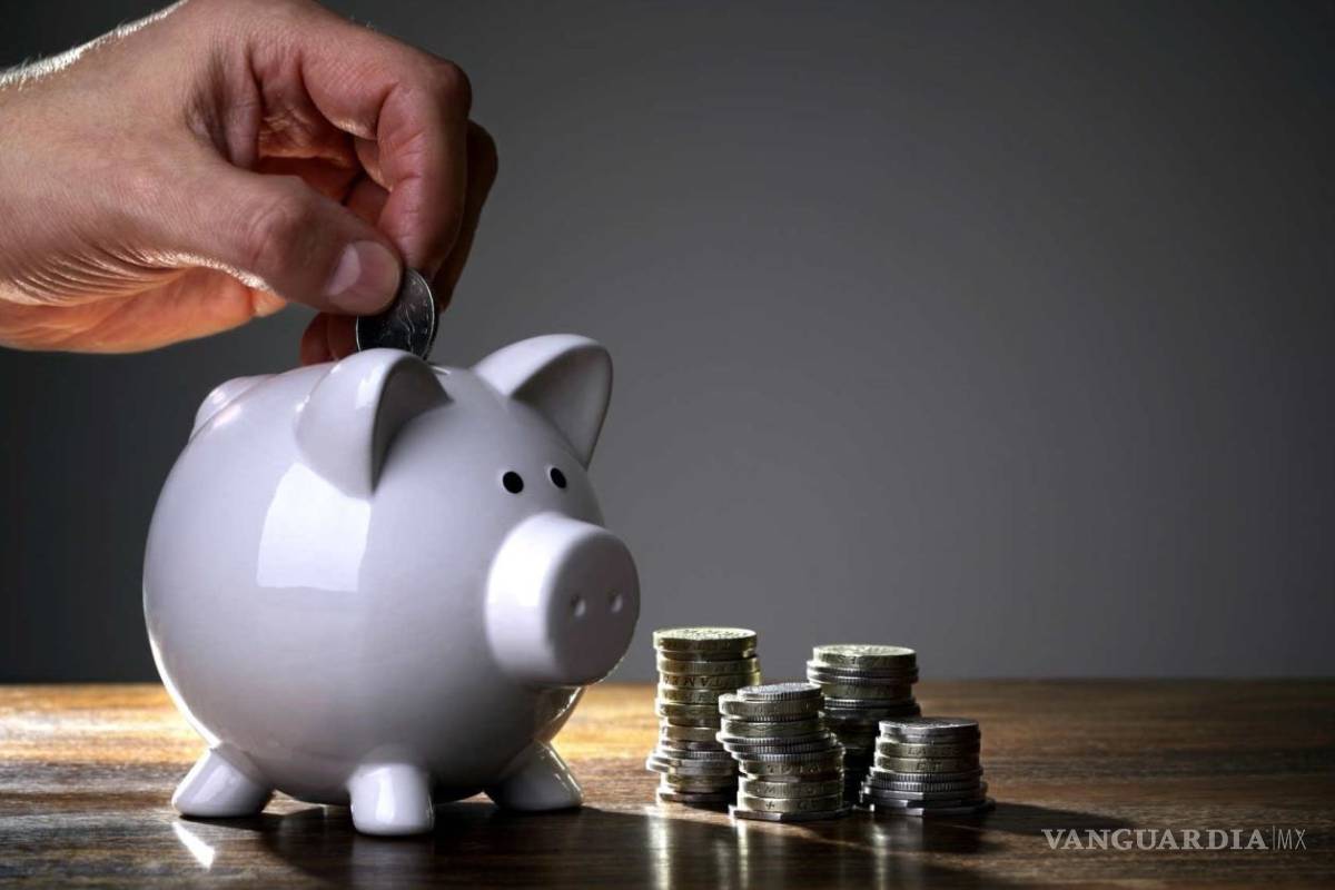 Las inversiones de Afores se destinaron en deuda del País