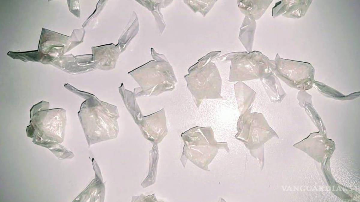 Hallan cristal y marihuana en cateos a cuatro inmuebles, en NL