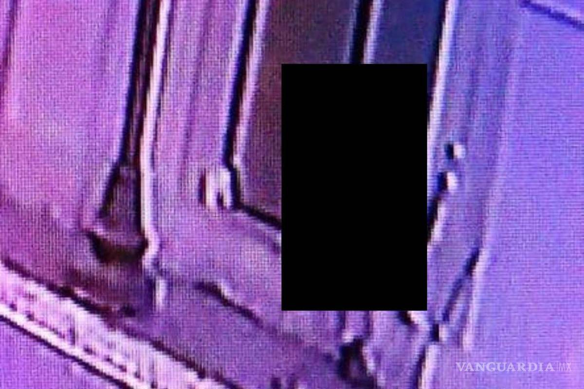 Evidencian presunto abuso a una perrita en Nuevo León; detienen a agresor