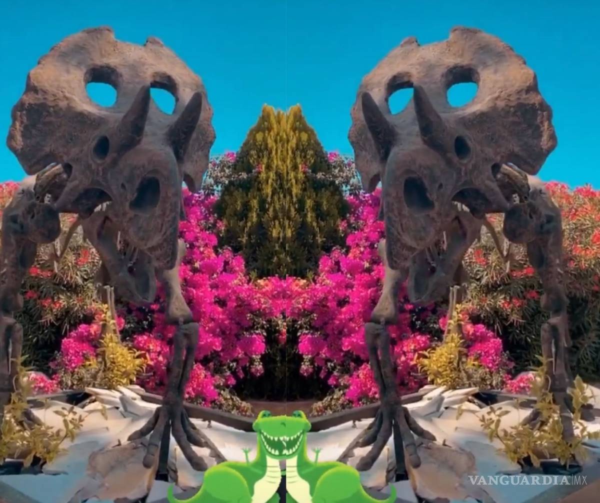 $!Belinda se escapa a Coahuila con su familia y comparte momentos épicos en Instagram