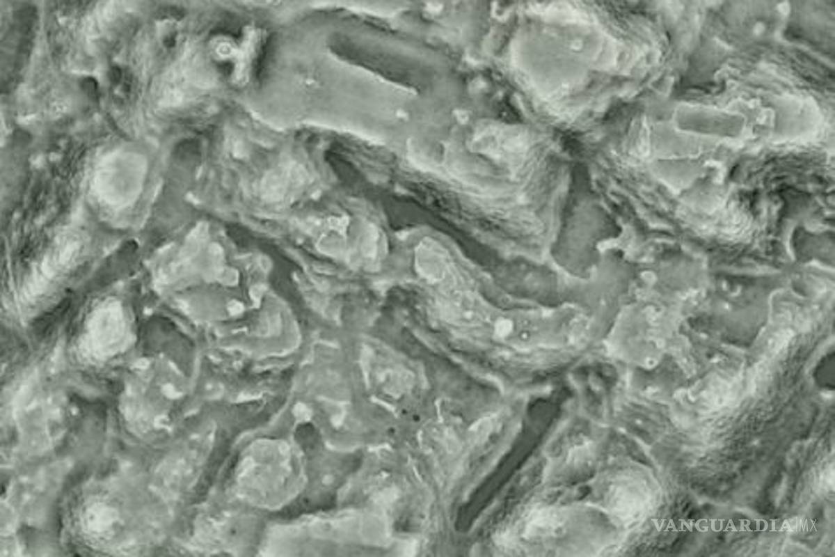 Angamuco, la ciudad milenaria en México con tantos edificios como Manhattan