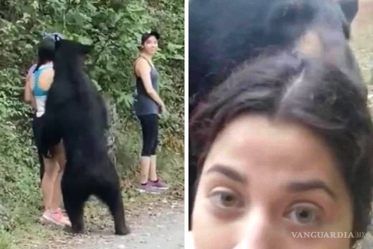 Filtran selfie de excursionista con oso en Parque Chipinque, Nuevo León