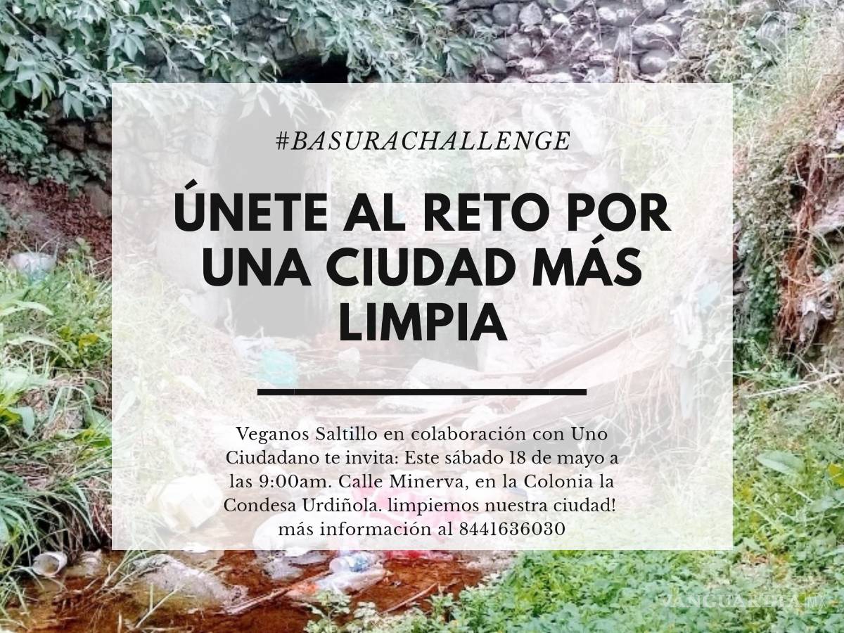 $!Con el #BasuraChallenge en Saltillo convocan a limpiar una parte del arroyo Agua Azul
