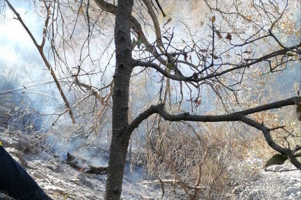 Saltillo: combaten incendio en Sierra de Zapalinamé, habría sido provocado