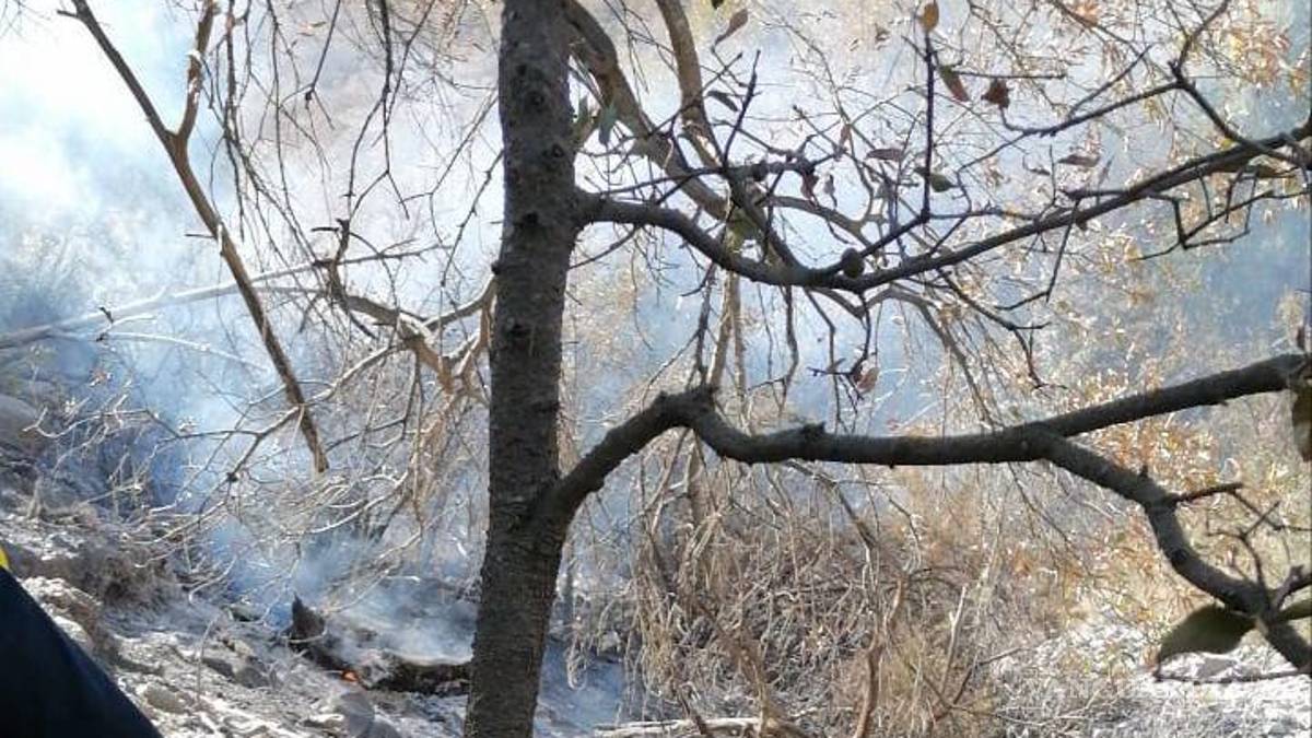 Saltillo: combaten incendio en Sierra de Zapalinamé, habría sido provocado