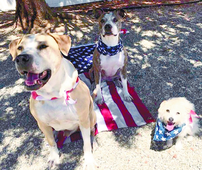 Kaley Cuoco queda por los suelos ante patriotas