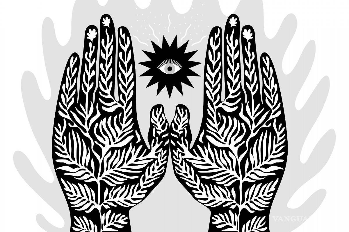 Semillas, el misterio que regala la existencia