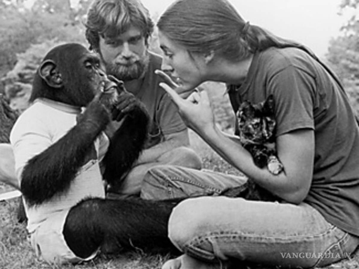 $!Estos son los animales que han contribuido en la historia de la ciencia