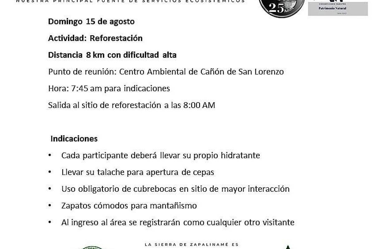 Solicitan voluntarios para reforestar la Sierra de Zapalinamé este fin de semana