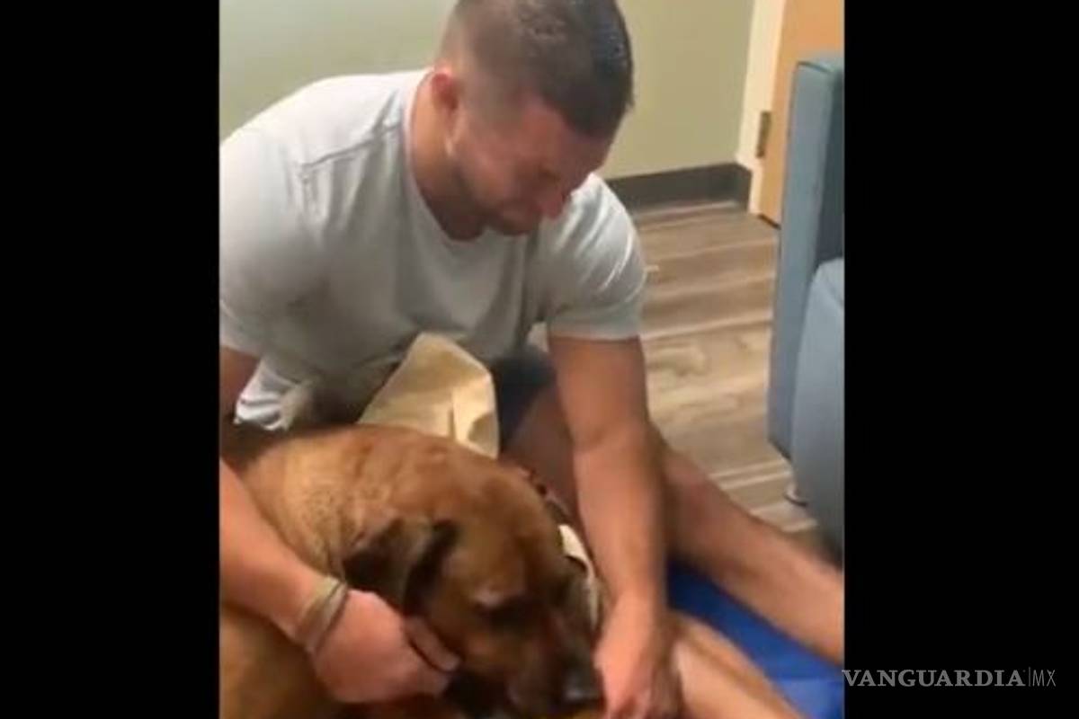 El conmovedor video de Tim Tebow despidiéndose de su perro Bronco