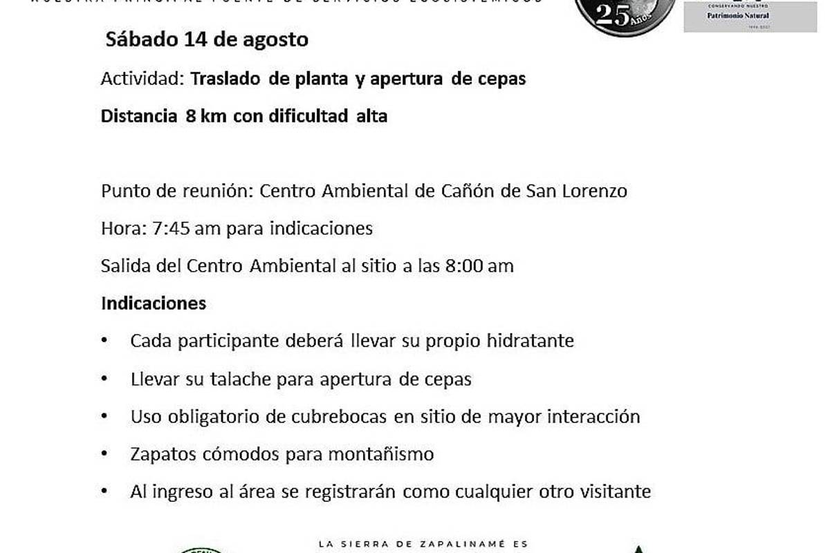 Solicitan voluntarios para reforestar la Sierra de Zapalinamé este fin de semana