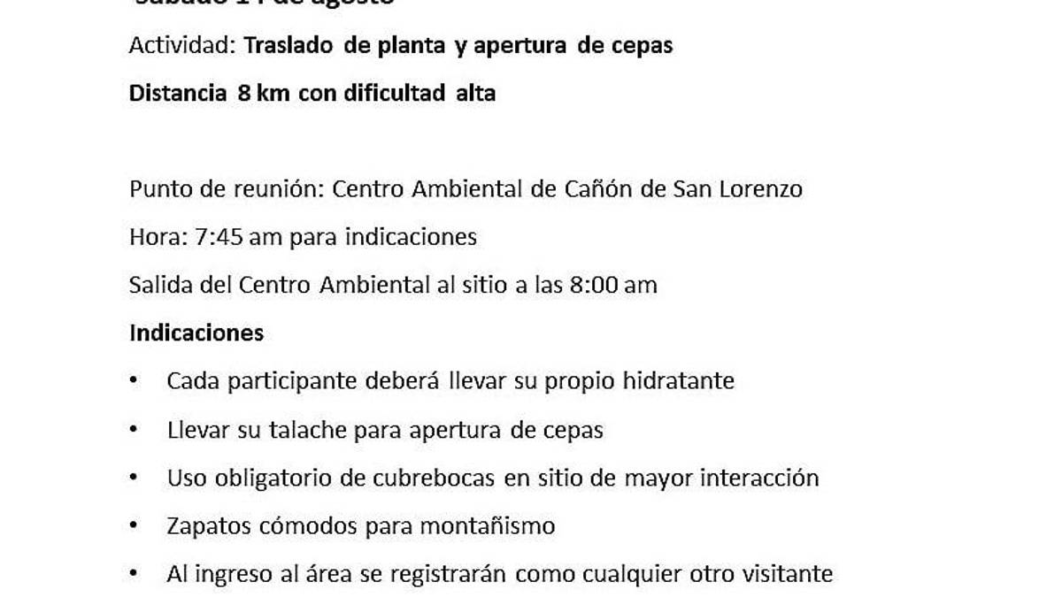 Solicitan voluntarios para reforestar la Sierra de Zapalinamé este fin de semana