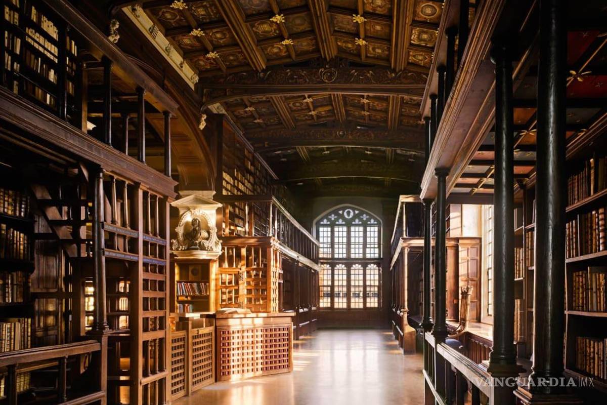 La biblioteca: paraíso del conocimiento