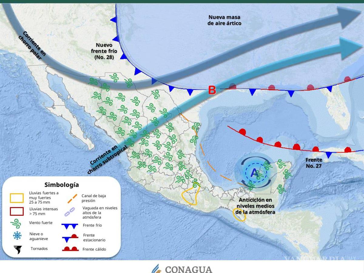 $!Las ráfagas de viento de hasta 80 km/h podrían causar caída de árboles y daños en estructuras vulnerables.