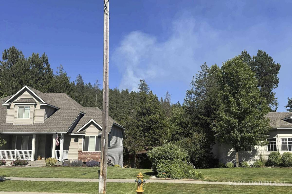 Francotirador mata a dos bomberos en Idaho, tras tenderles una emboscada