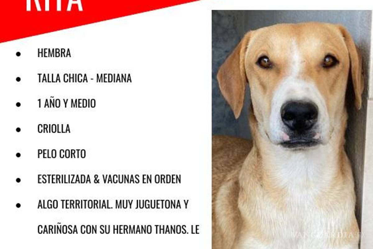 De un segundo a otro