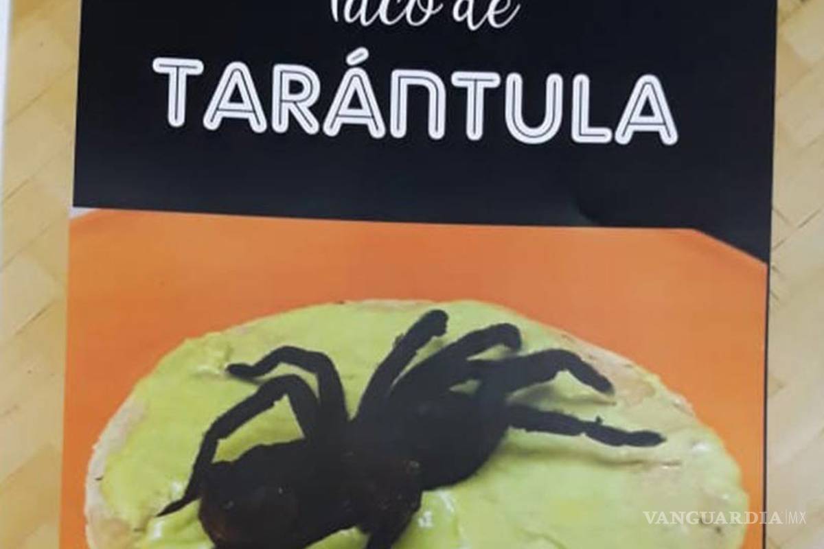 Decomisan tarántulas listas para ser tacos en un restaurante de la CDMX