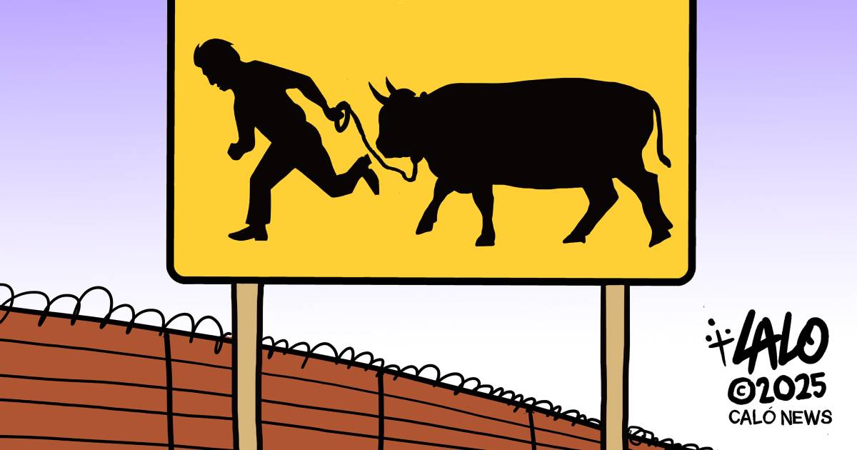 Casa Blanca lanza falsa narrativa antimigrantes al acusarlos de “traer su ganado” enfermo