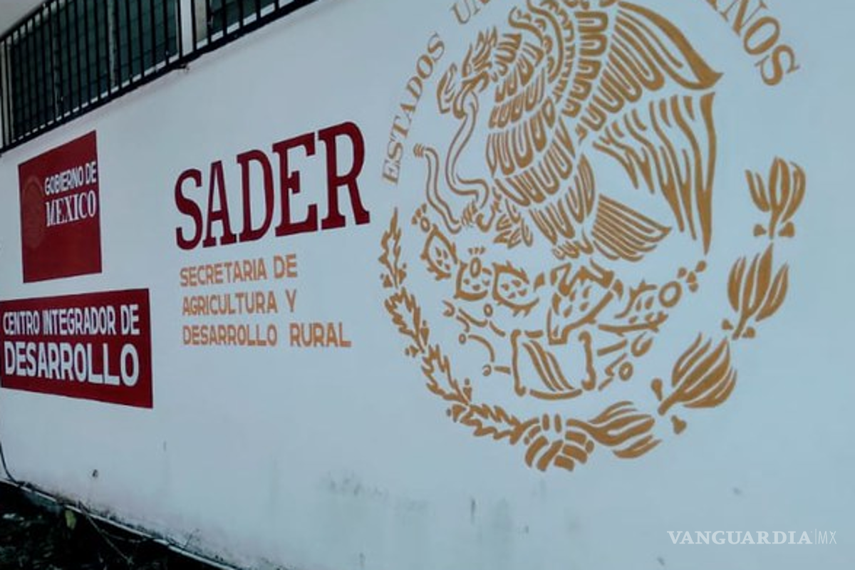 Denuncian alianza de titular de la Sader y exfuncionarios con empresas a favor del maíz transgénico