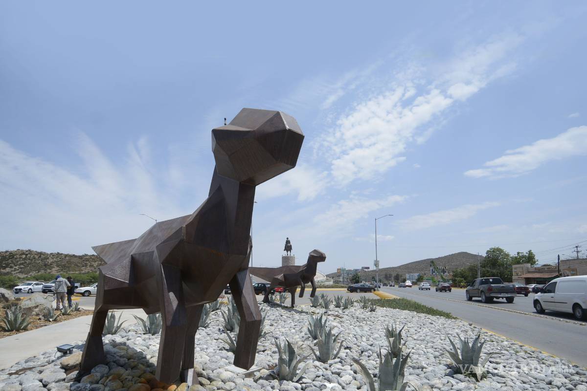 Dinos, sin parecido a las especies de Coahuila