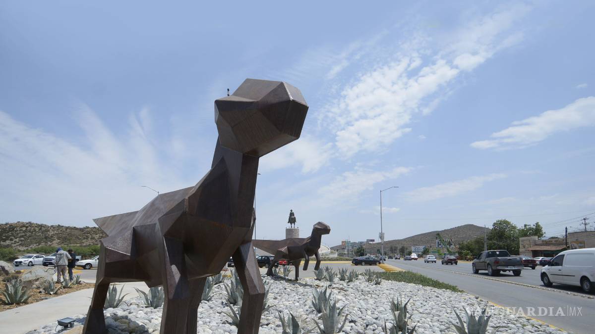 Dinos, sin parecido a las especies de Coahuila