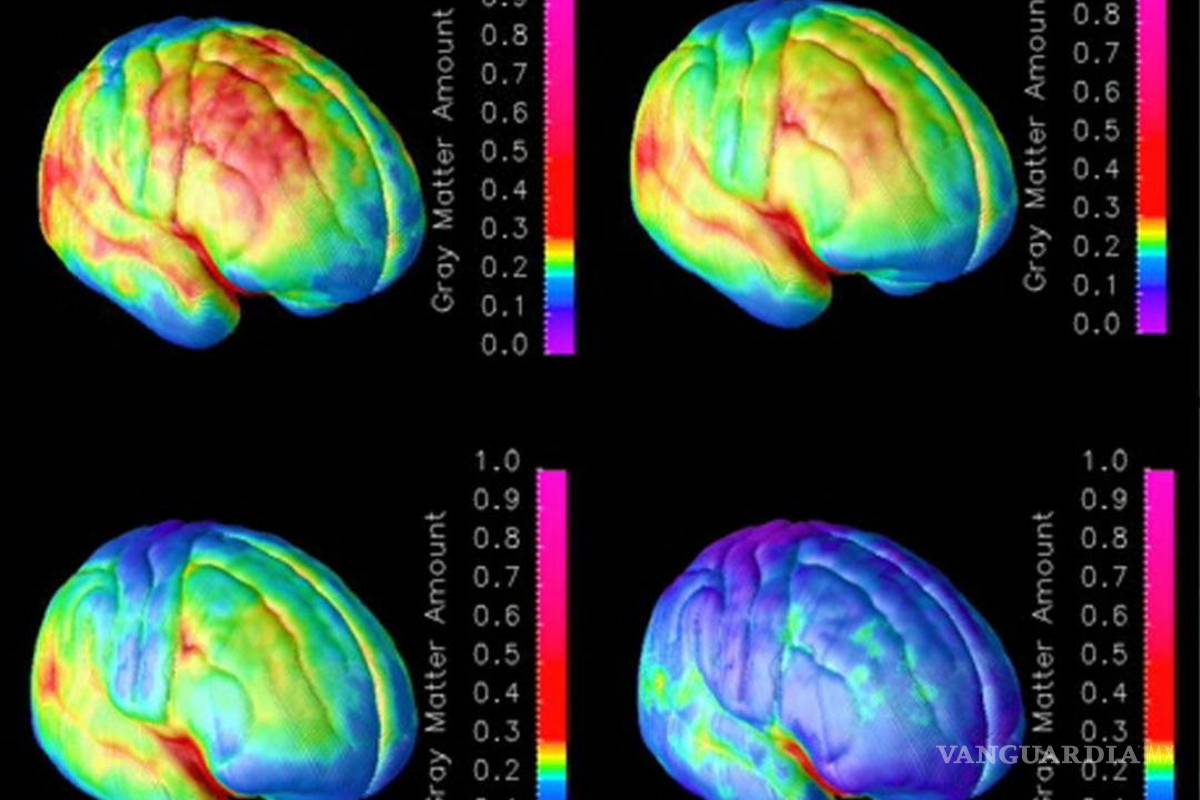 Optogenética, una luz en el cerebro