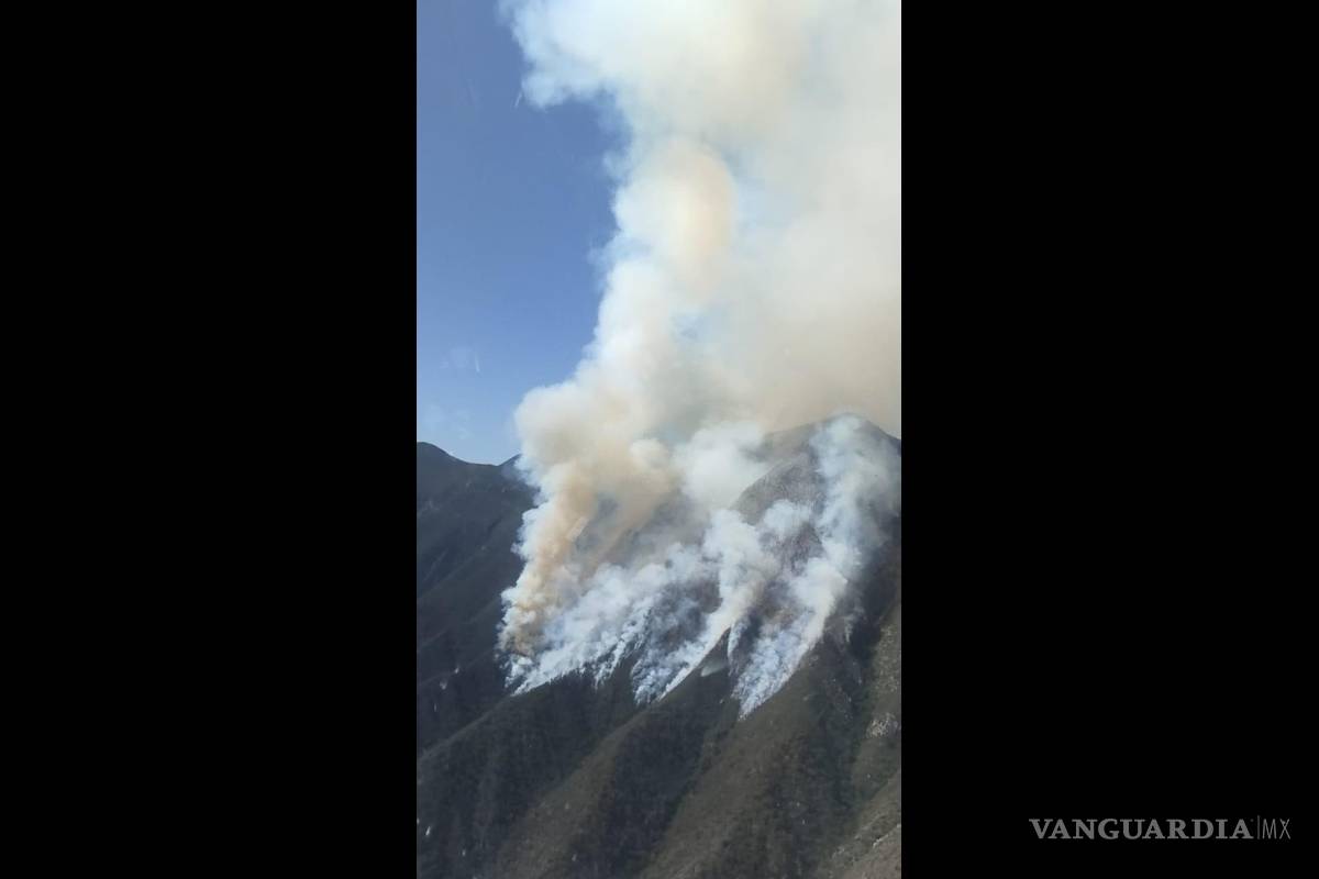 Más de 100 hectáreas afectadas por incendio forestal en Santa Catarina