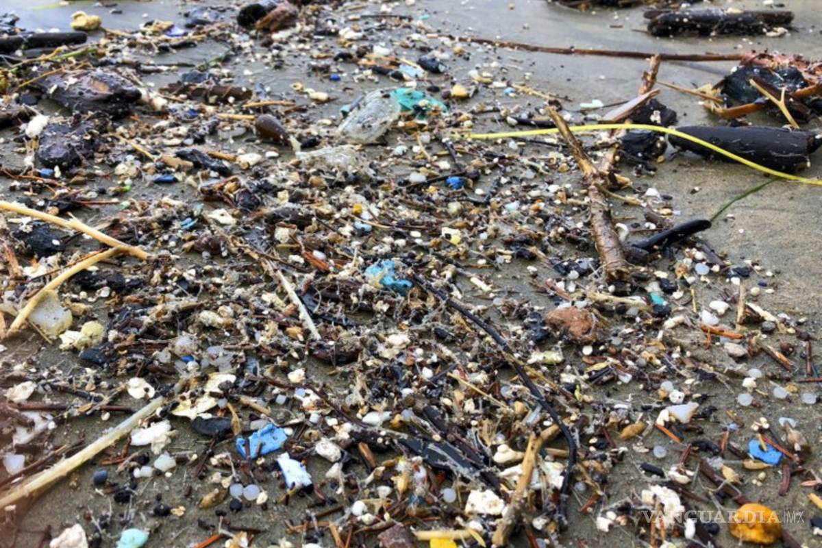 Descubren que los microplásticos afectan al funcionamiento de las membranas celulares