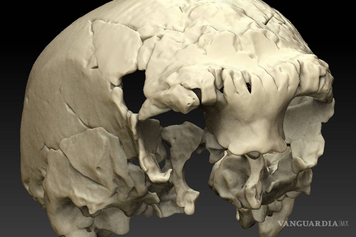 Hallan en Portugal uno de los fósiles humanos más antiguos de Europa