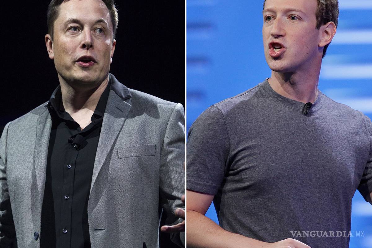 Elon Musk decidió borrar su perfil, el de Tesla y el de SpaceX de Facebook