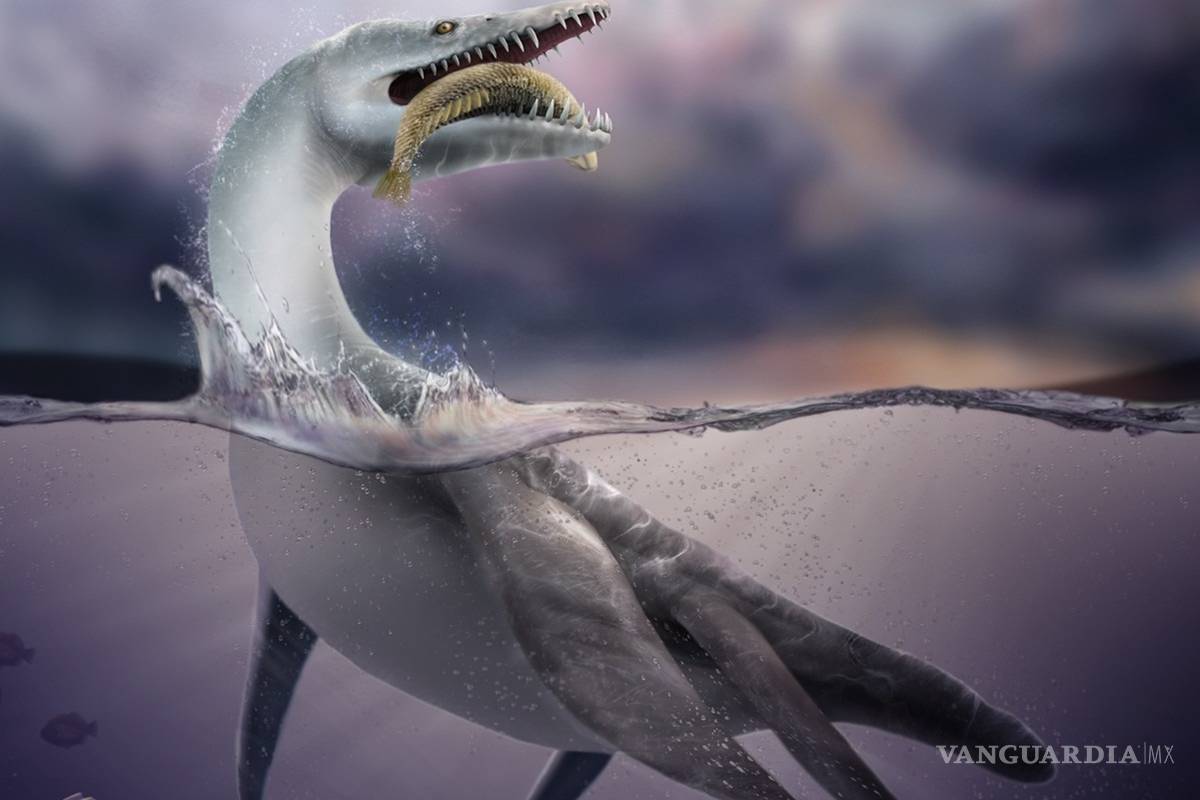 Descubren el fósil más antiguo de un plesiosaurio