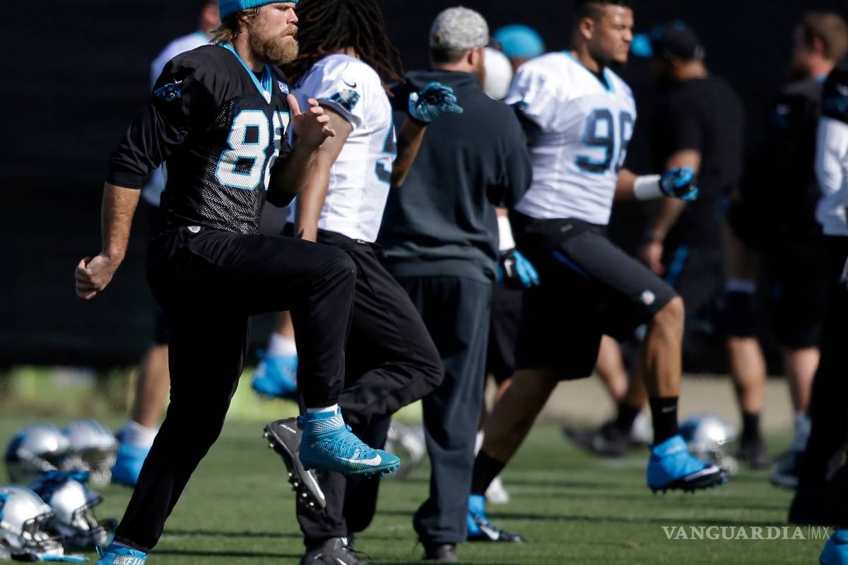 La ofensiva de Panthers con muchas opciones