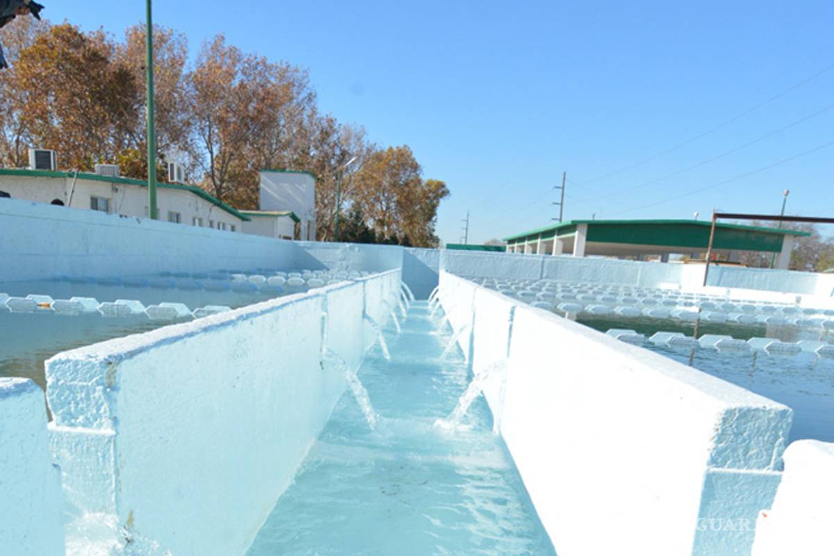 Rechaza federación apoyo para concluir modernización de planta de Simas Acuña