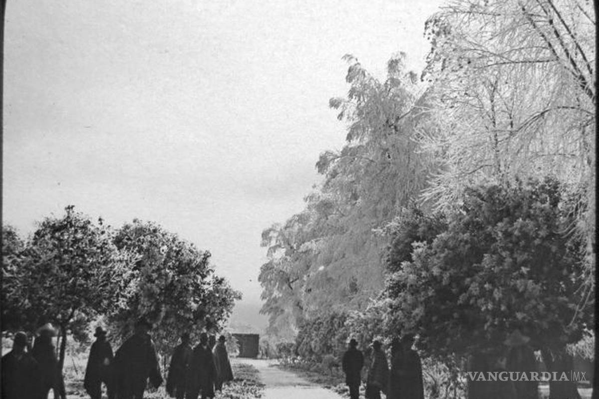 Saltillo y el manto blanco que dejó huella imborrable