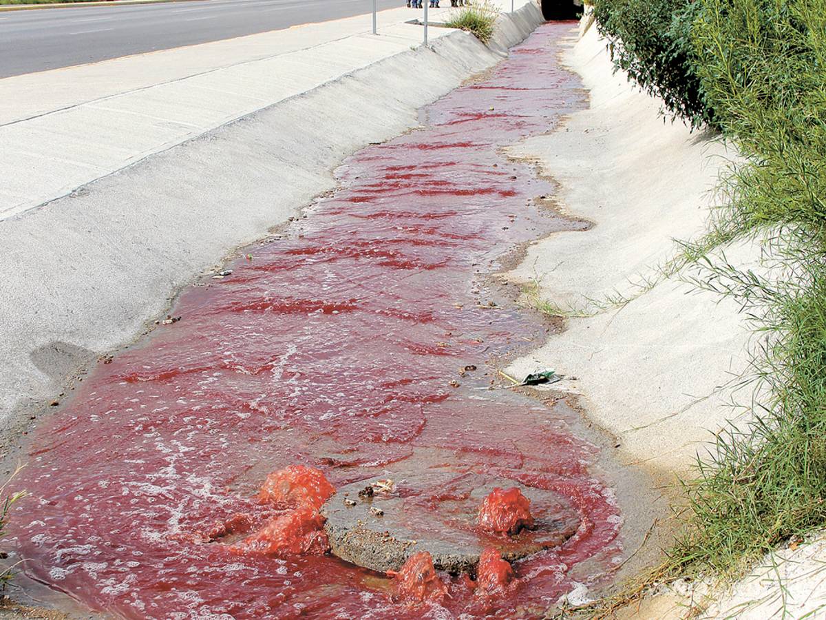 $!Reanudaría Rastro Municipal de Saltillo, operaciones este viernes