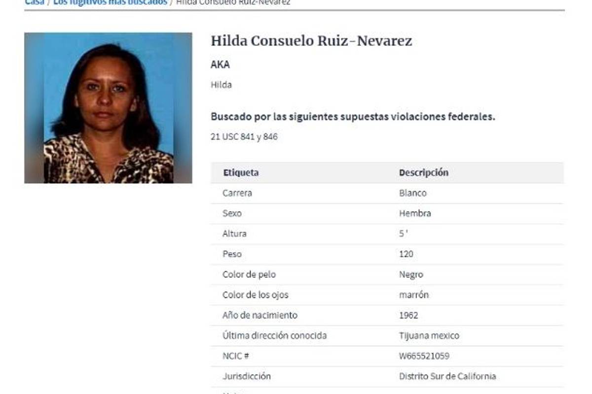 $!'Armadas y peligrosas'... ellas son las 6 mujeres del narco que la DEA no ha podido atrapar