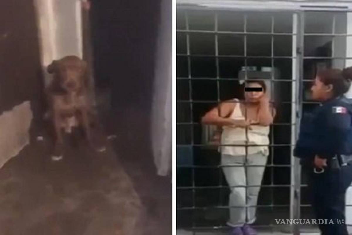 Mujer secuestraba perros para comérselos y vender su carne, en Puebla