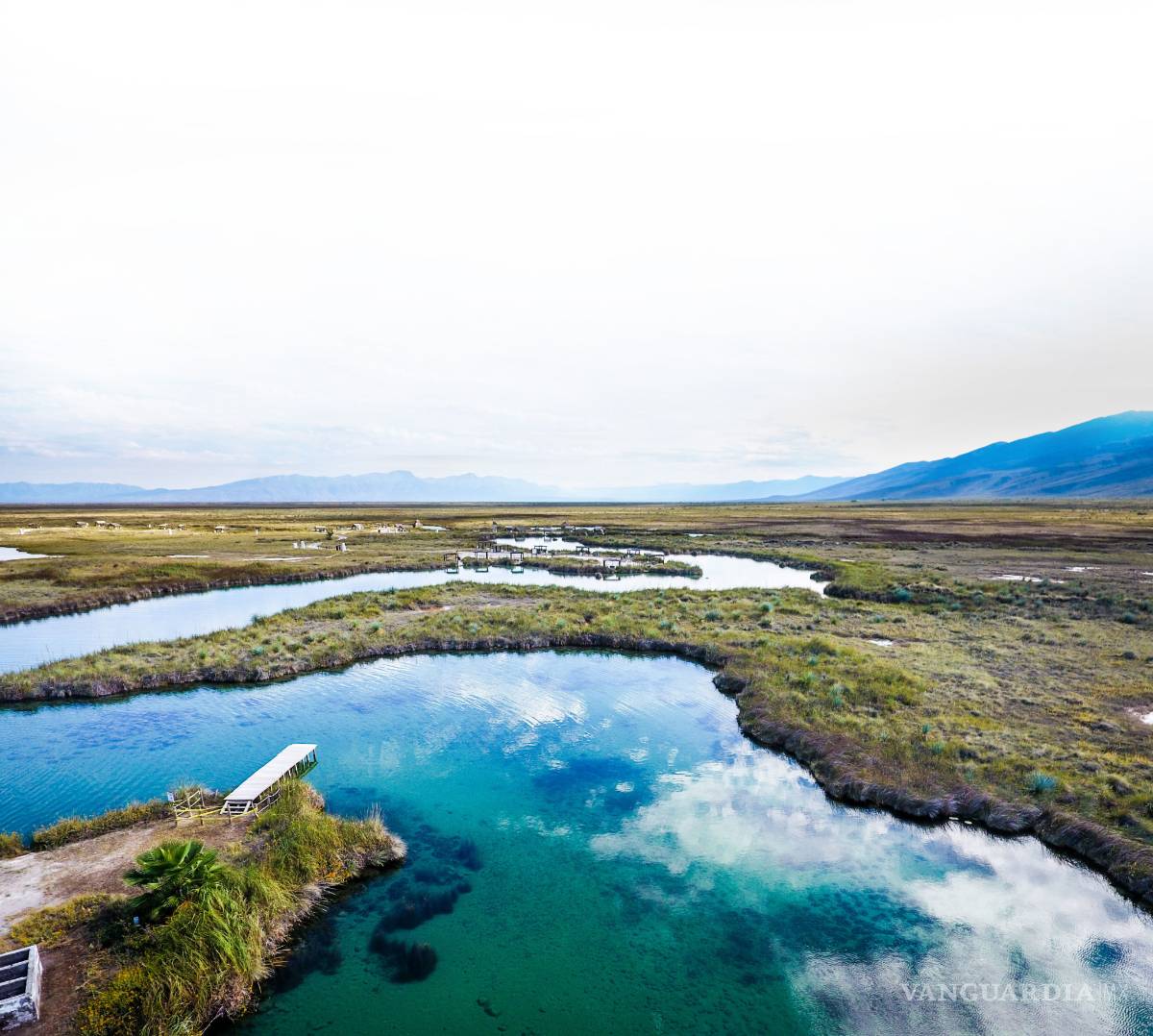$!Pide que Obispo de Saltillo deje de decir ‘tontadas’