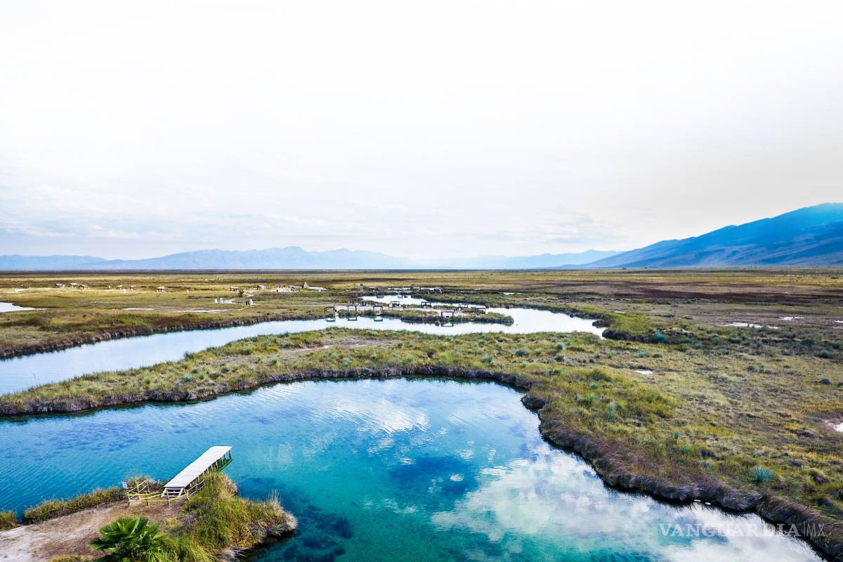 $!Pide que Obispo de Saltillo deje de decir ‘tontadas’