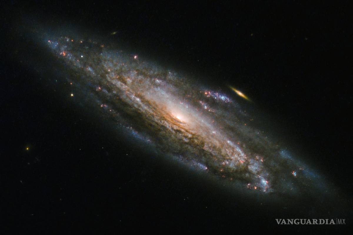 Nada ni nadie son para siempre