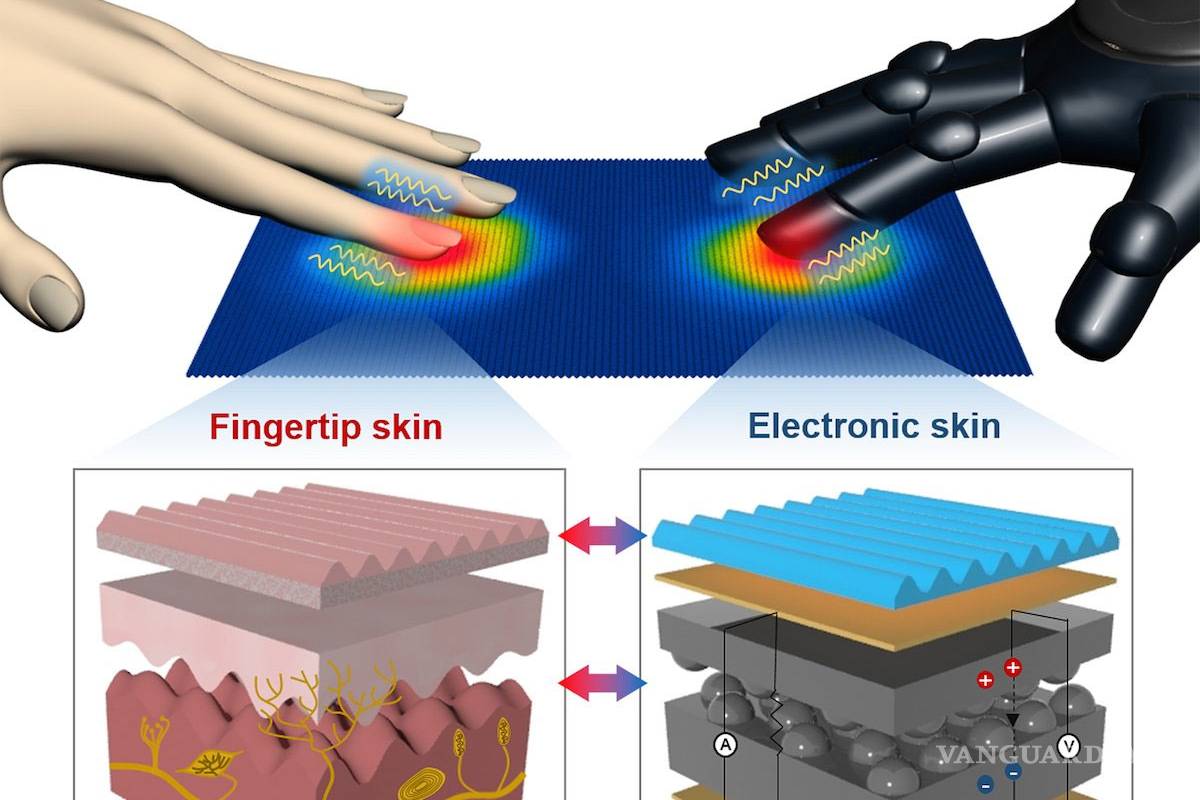Crean una piel artificial que permite &quot;sentir&quot; calor y presión a la vez