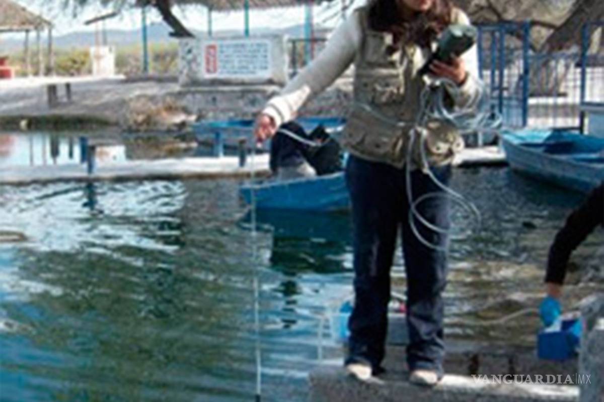 Hallan alarmante nivel de arsénico en cuerpos de agua en SLP