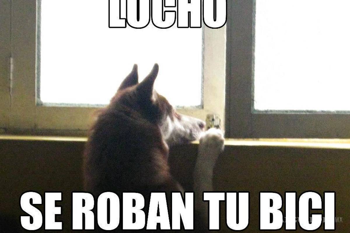 Finding meme: La historia detrás de Lucho