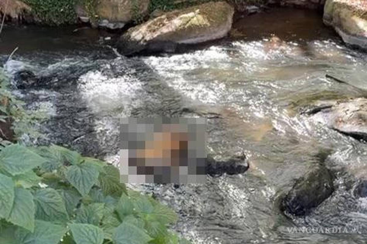 Encuentran un tigre decapitado en cascada de Valle de Bravo, en el Edomex