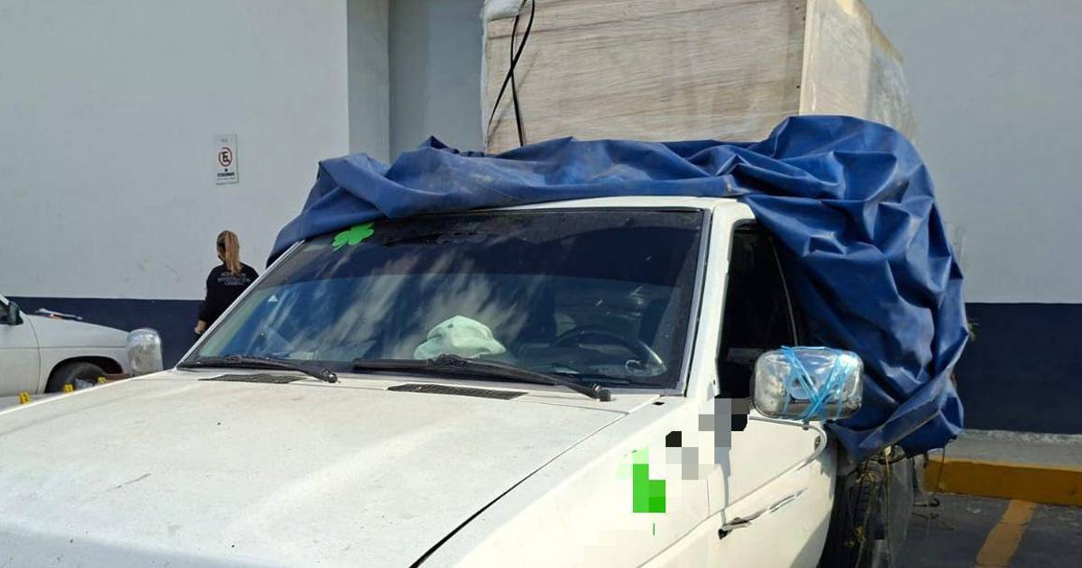 Capturan a hombre con 228 kilos de marihuana en General Bravo, Nuevo León