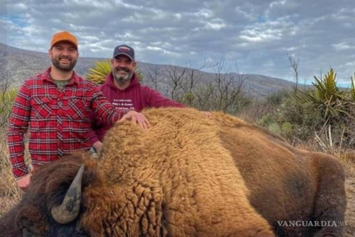 Investigan origen de fotos de matanza de bisontes en Coahuila