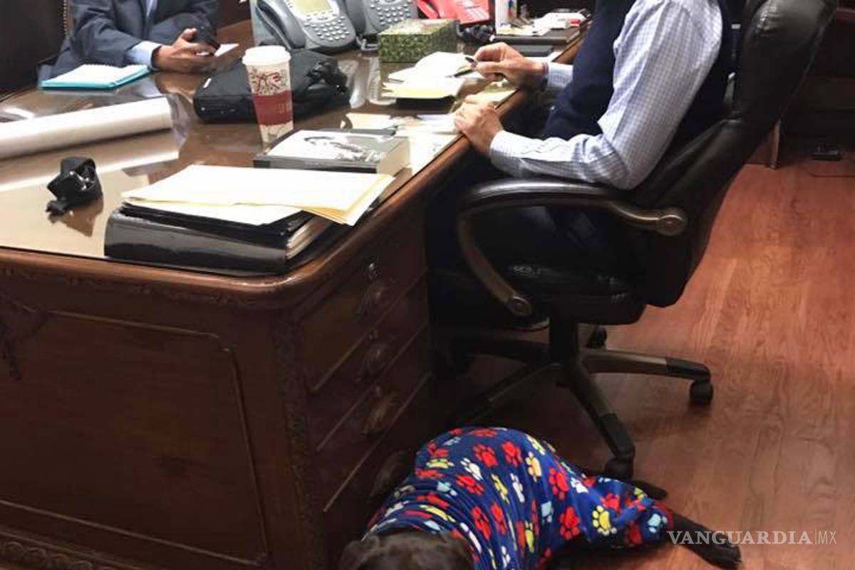 Javier Corral presume la visita de su mascota a Palacio de Gobierno