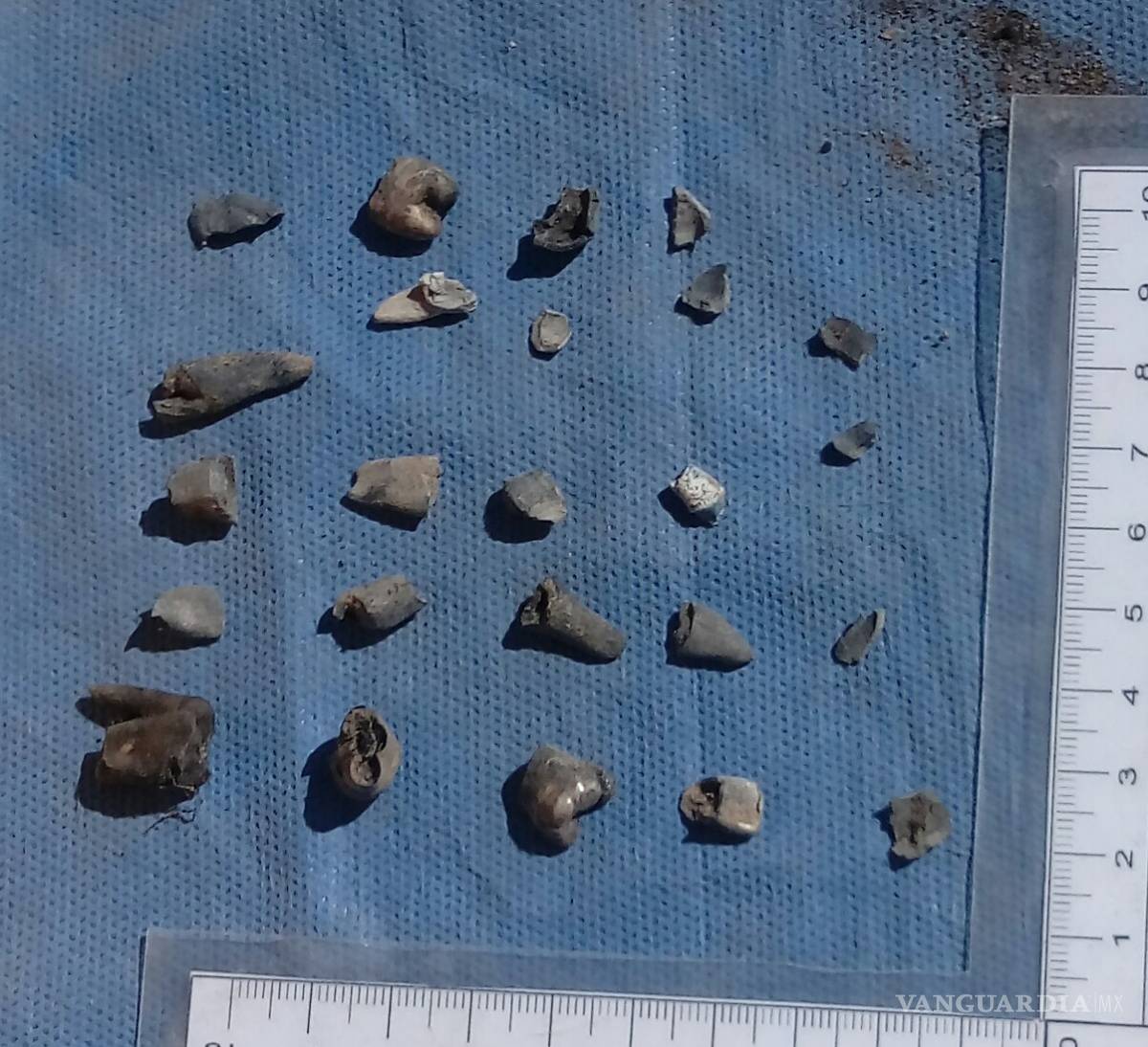 $!Hallan 4 mil restos óseos más en la Región Laguna de Coahuila