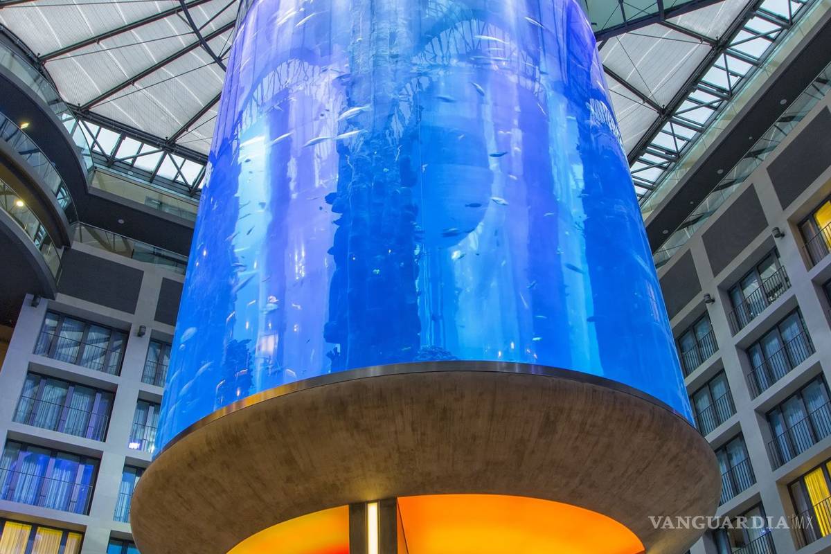 $!AquaDom, el acuario cilíndrico más grande del mundo