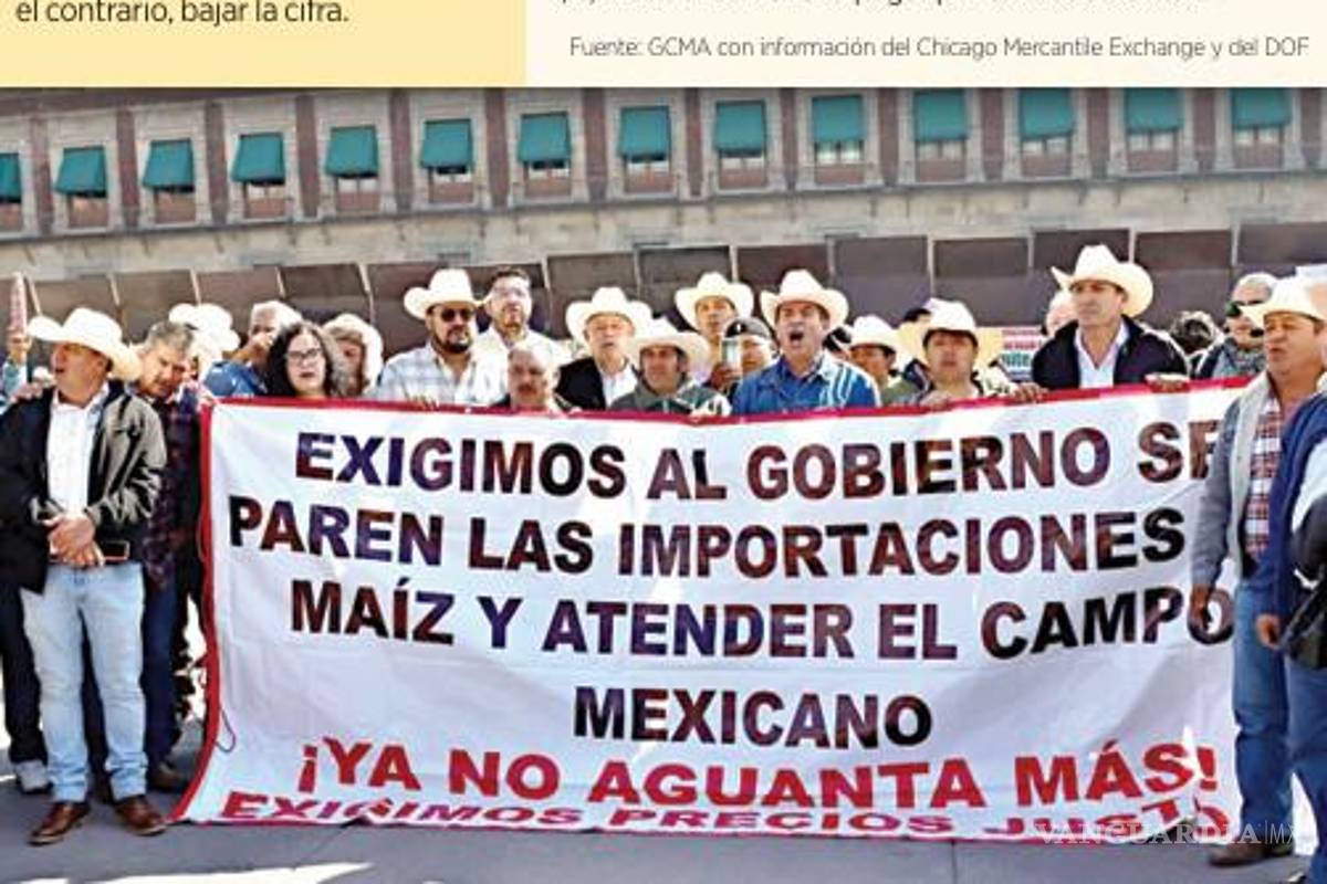 $!Pese acuerdos del Gobierno de Sheinbaum, mayoría de productores de maíz quedarían fuera